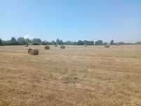 Baloți de vânzare