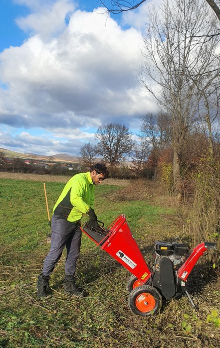 Tocare, tocat crengi, tăieri, toaletare pomi, copaci, defrişare teren