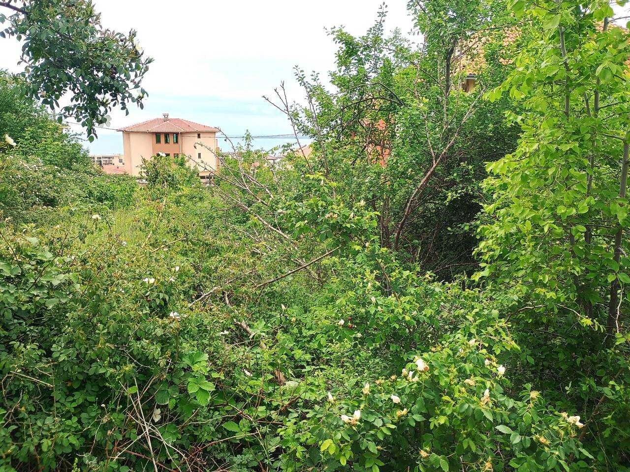 Продава се Парцел в Свети Влас - 500 кв.м за 138 €/кв.м - Снимка #7