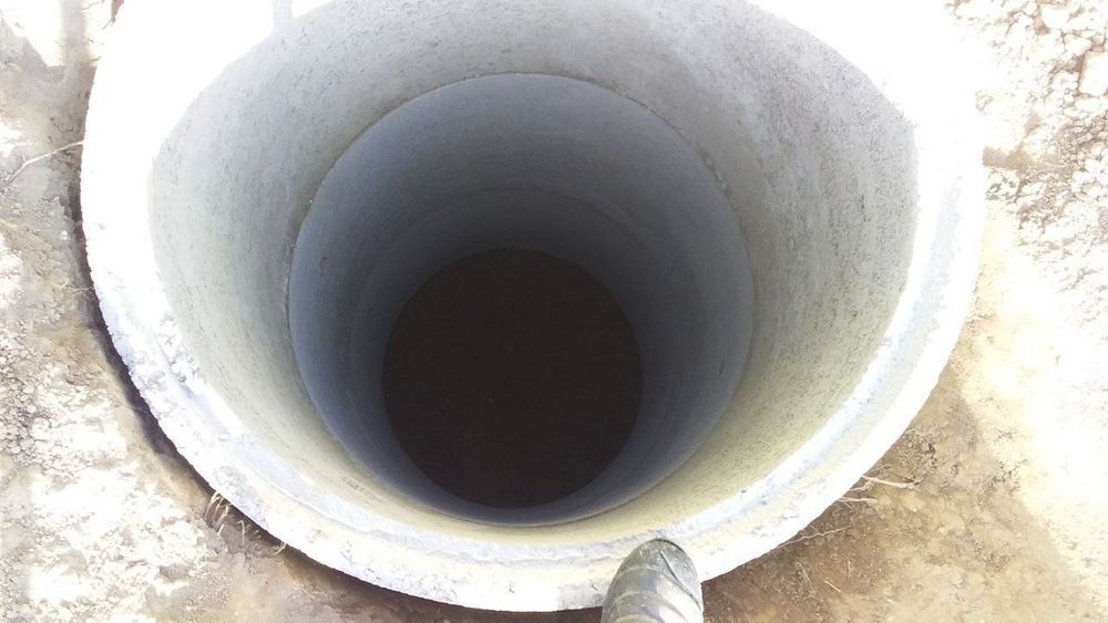 Kalodis bor xar xil turdagi