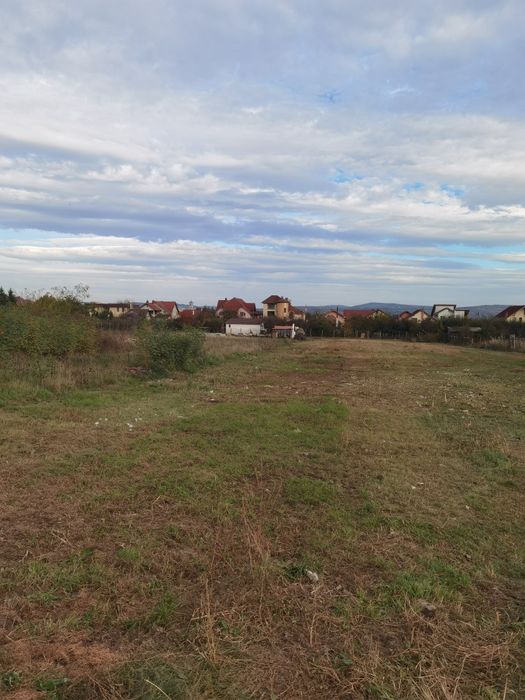 Curățare teren, curățare pasuni, defrisare, intretinere