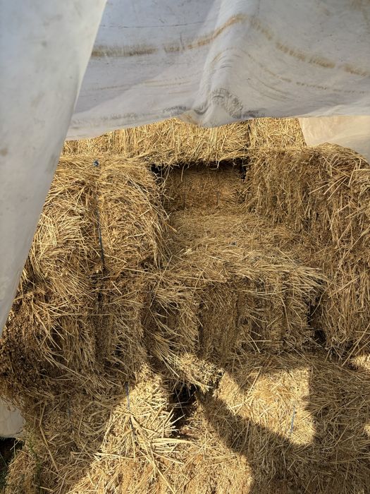 Baloti lucerna vand.