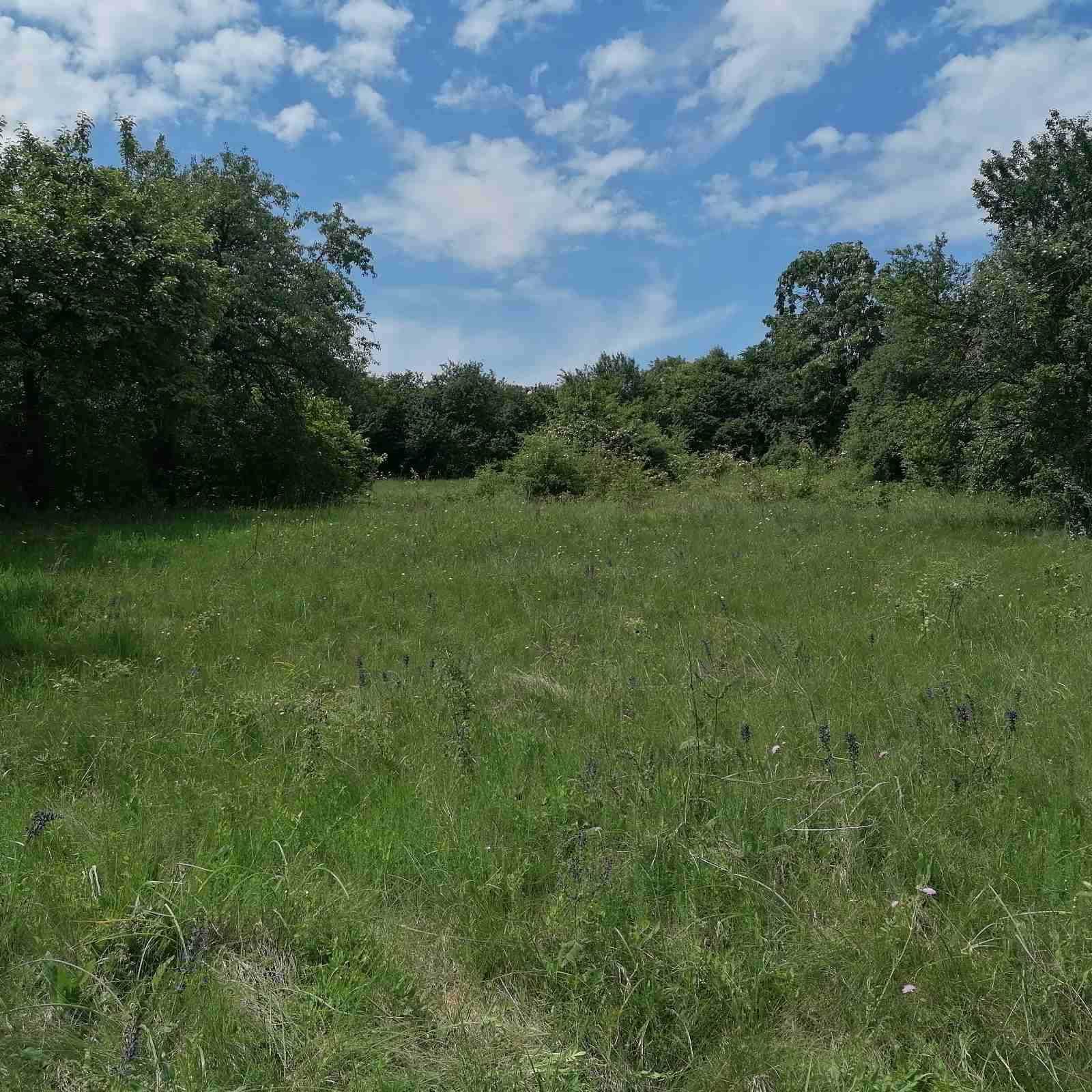 Продавам парцел в село Режанци, Брезник