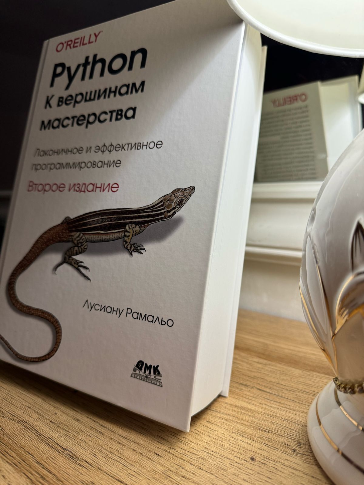 Python к вершинам мастерства