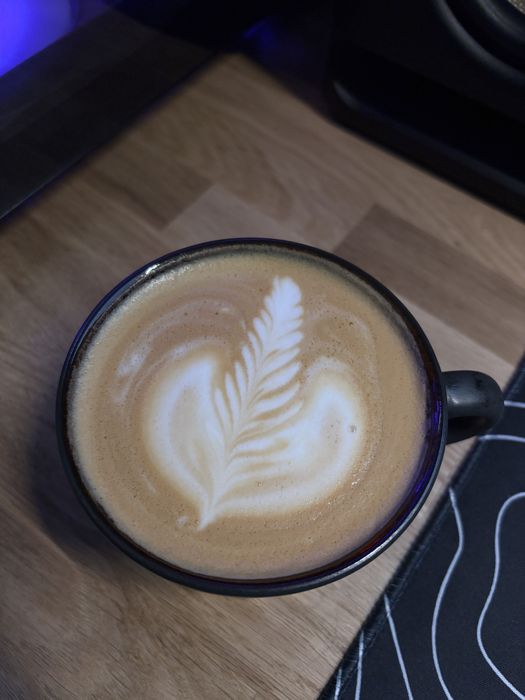 Espressor Gaggia Classic E24 + Rasnita Gaggia MDF M55 + accesorii