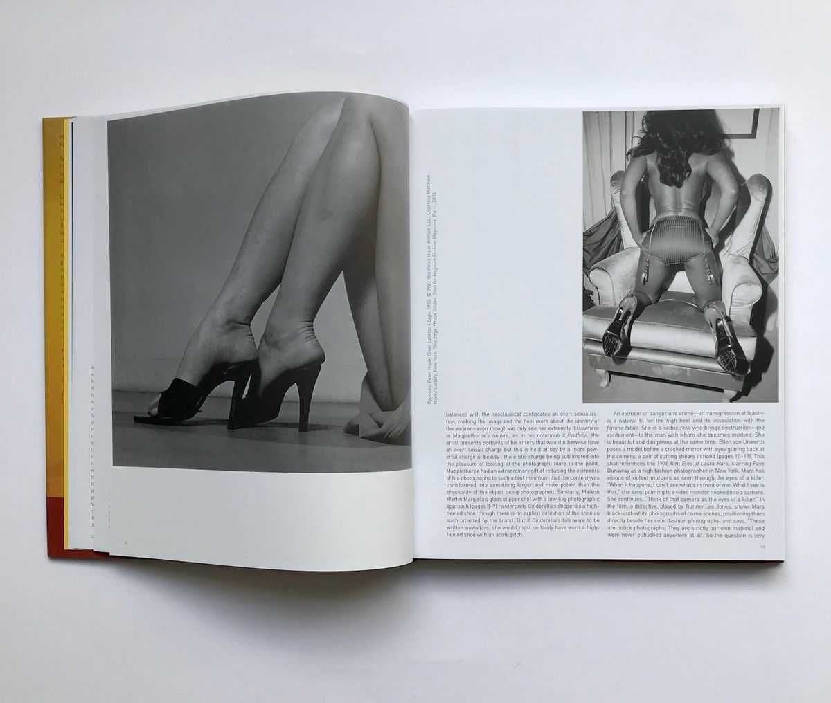 High Heels: Fashion Femininity & Seduction (Thames & Hudson, 2011)