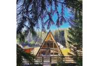 Cabane stil A Frame din structura de lemn si case din lemn la comanda