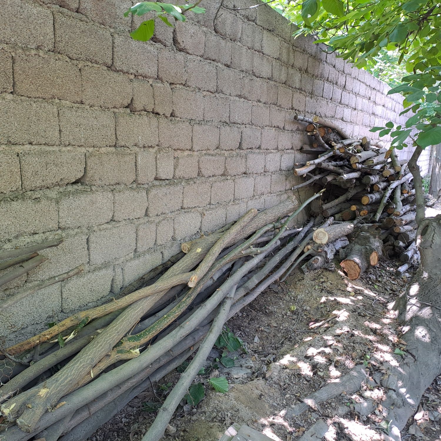 Дрова разные фруктовые