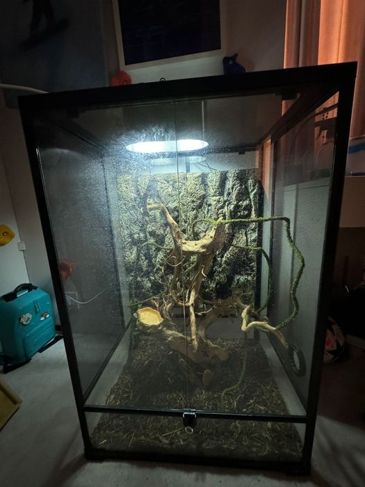 Terariu pentru reptile  plus lampa uv, 1000 RON, folosit doar 2saptama