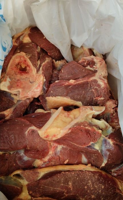 Продам мясо говядина