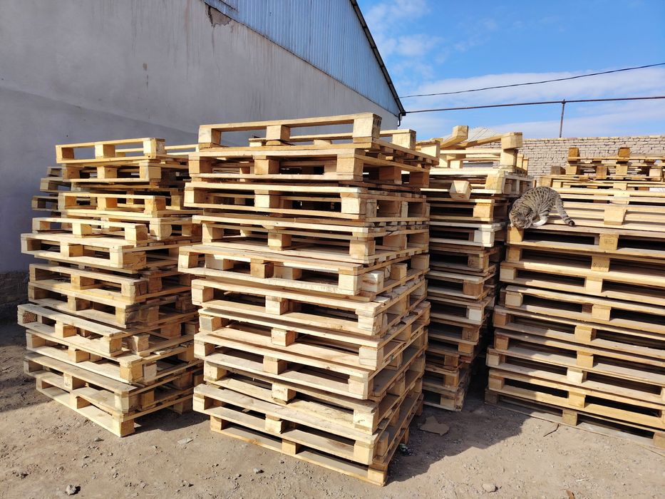 Падон бор 120 х 100. 120 х 80.  130 х 80.  140 х 80. Шу. Размер  бор