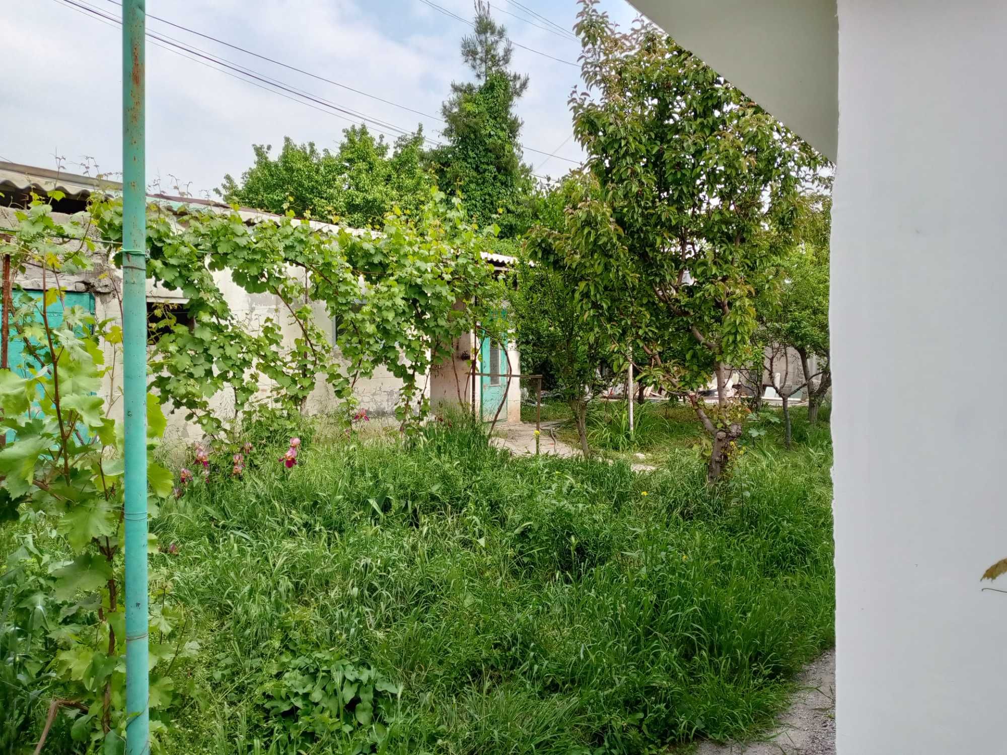 продаётся полавина участка 3 сотки