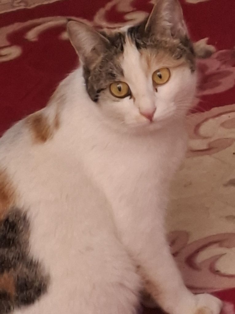 Yaxshi insonlarga beramiz