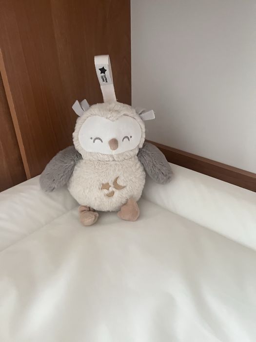 Бухалче Оли голямо