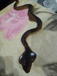 Гумена дълга змия