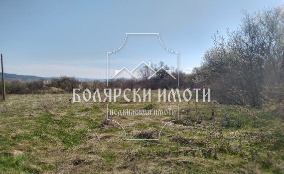 Продава се Парцел в с. Пчелище, Област Велико Търново - 4000 кв.м за 8 €/кв.м - Снимка #2