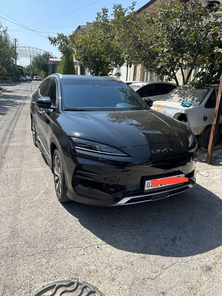 BYD chempion 605 tali