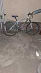 Velosiped  skorsli 26