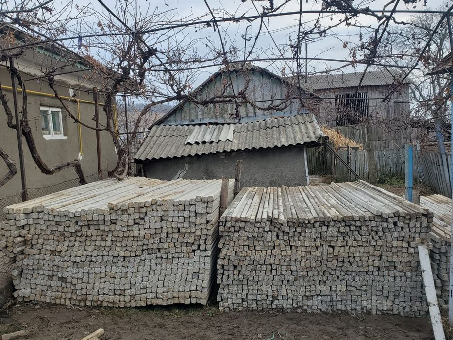 Vand spalieri , pari de beton Italia