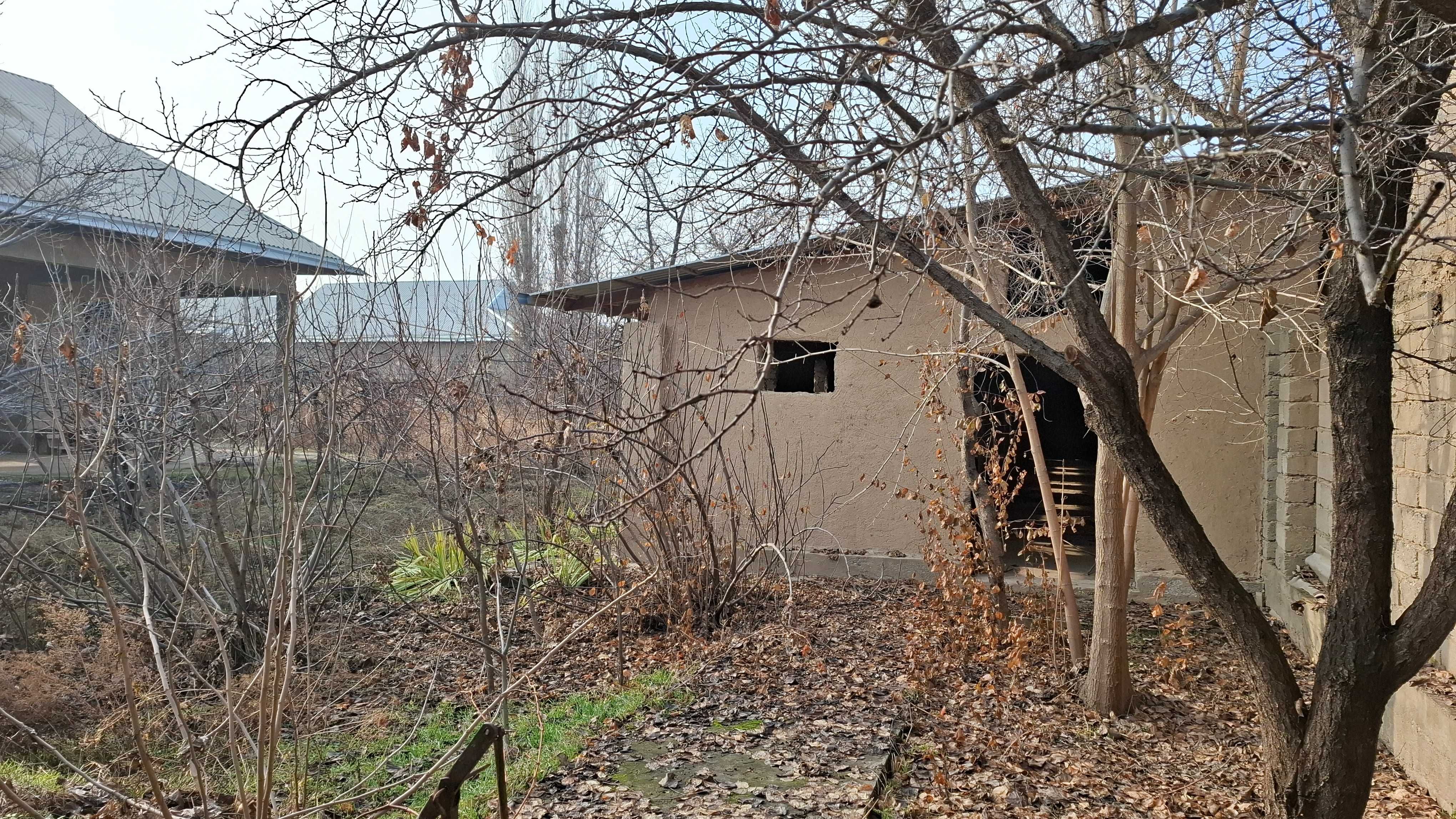 Таёр ховли участок