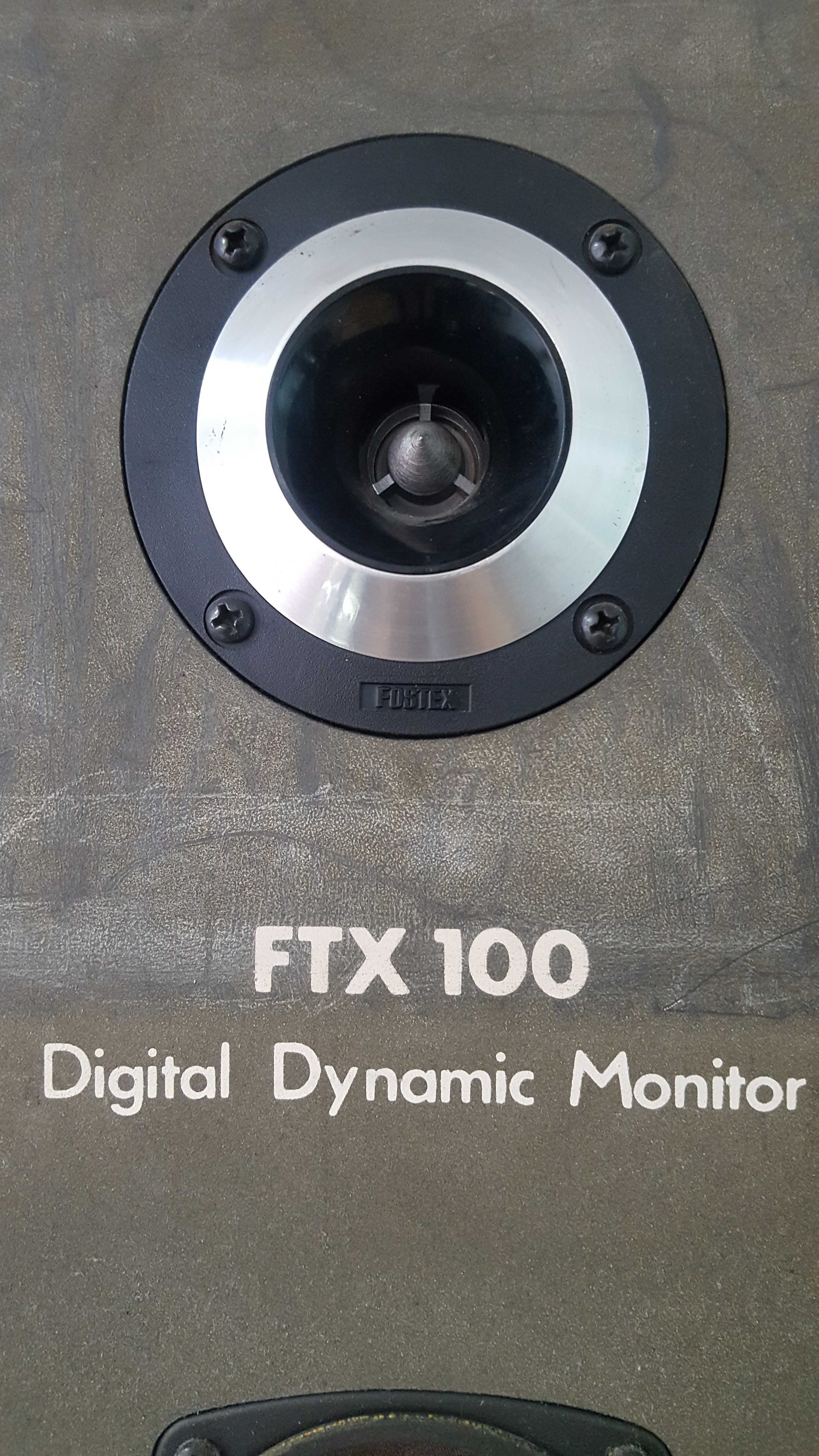 Fostex FTX 100 boxe muzica