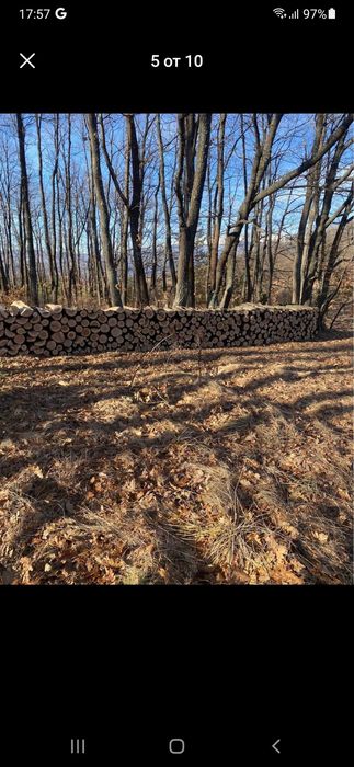 дърва за огрев метровки дъб