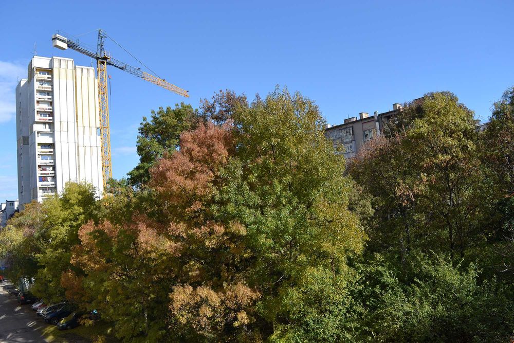 Nikon D3100 + обектив 18-55''