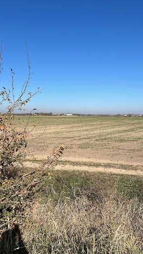 Teren extravilan Corbii Mari-Dambovita
