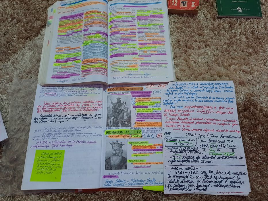 Vând carti pentru bac ,pot oferi și pdf