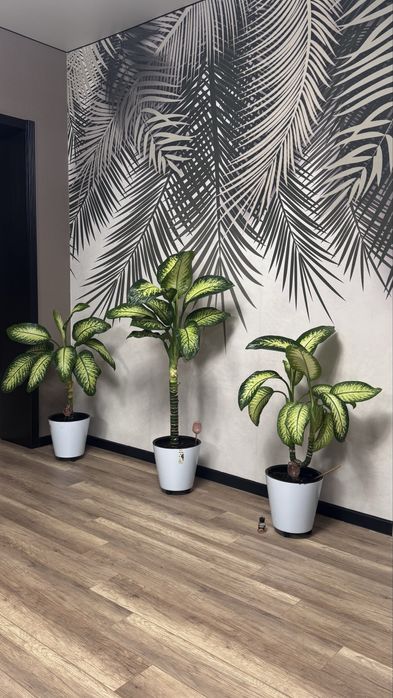 Комнатные цветы и декоративные деревья в горшках