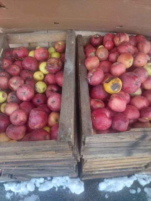 После переборки домой покушать само то