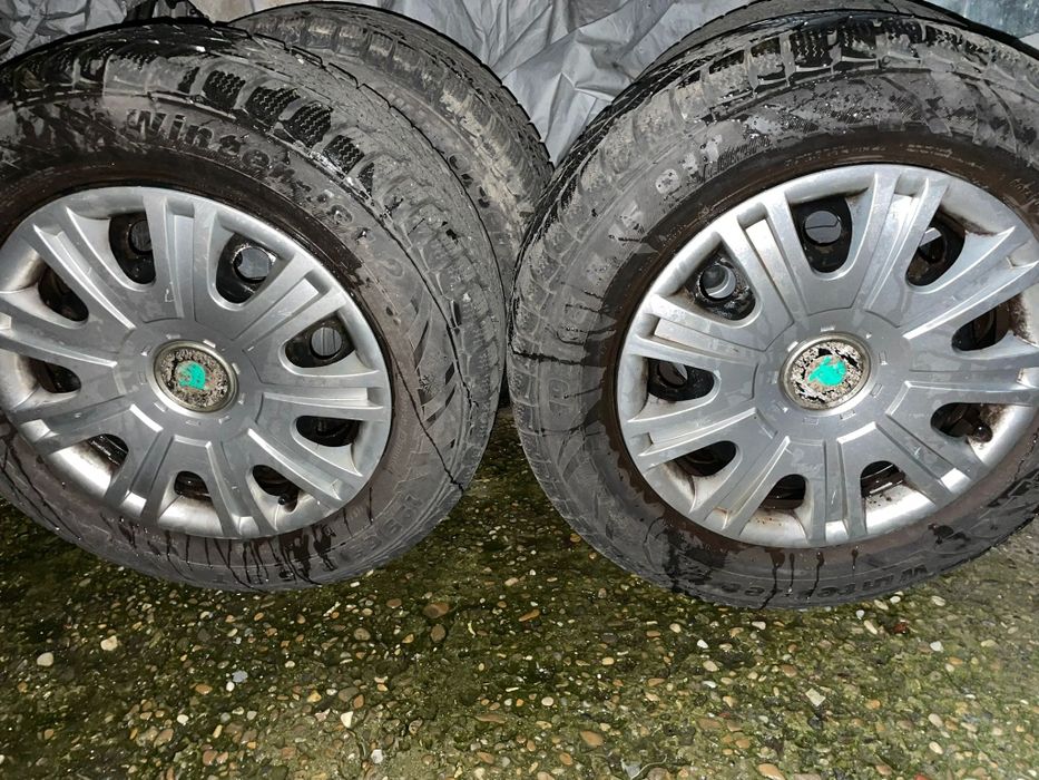 Cauciuri de iarna plus jentii tabla