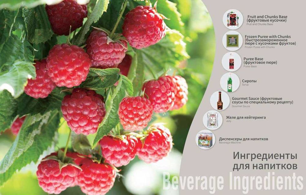 Замороженное фруктовое пюре Andros. Официальный дистрибьютор!