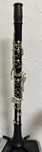 Clarinet Backun Protege