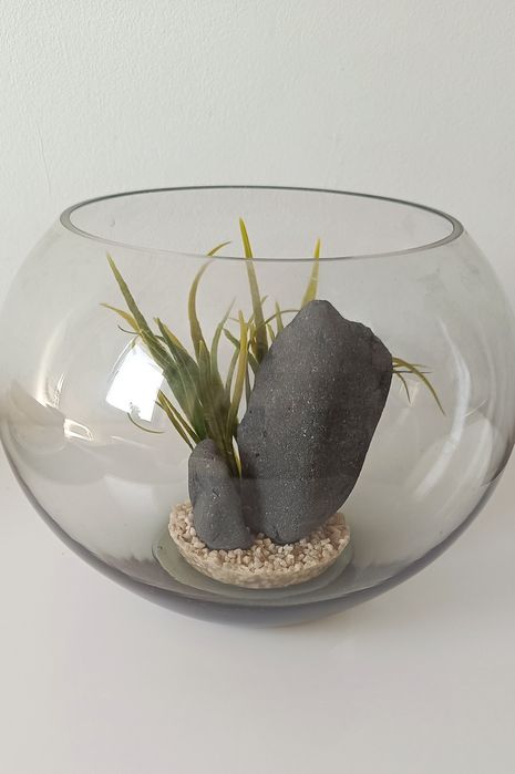 Acvariu peste Betta 12 L + Ornament Acvariu Hrana Tratament Apa