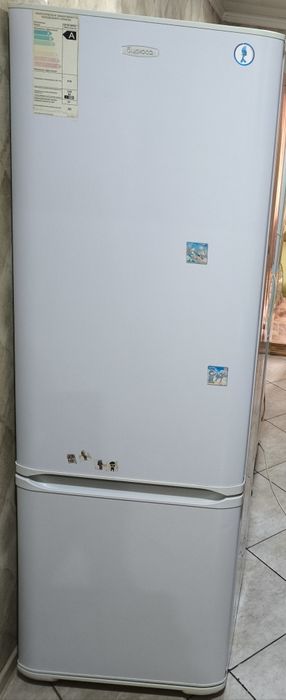 Бирюса высота 1,75м