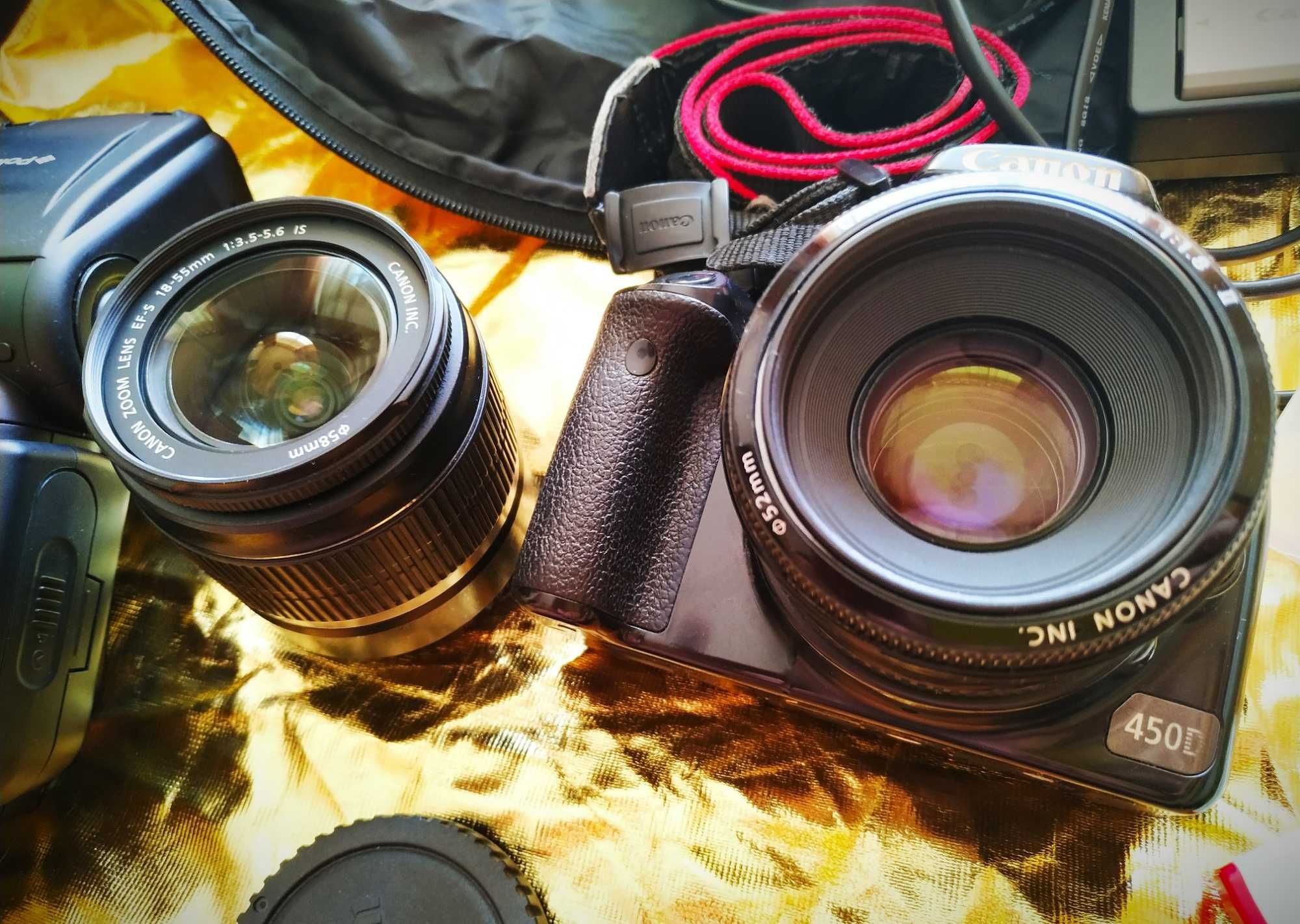 Canon 450D 18-55 + 50 1.8 + вкусняшки