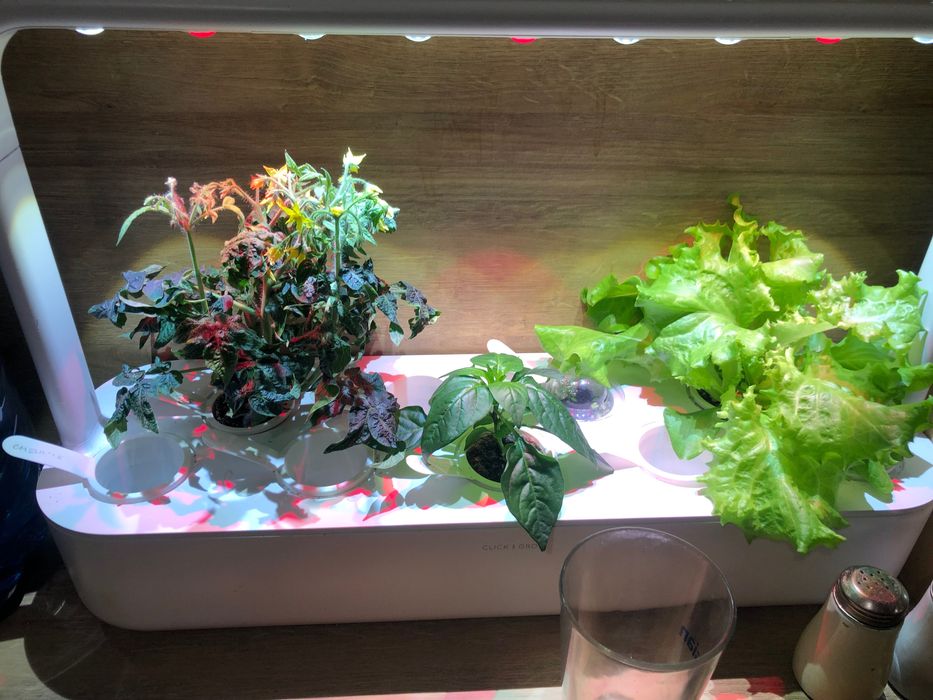 Click and grow smart garden