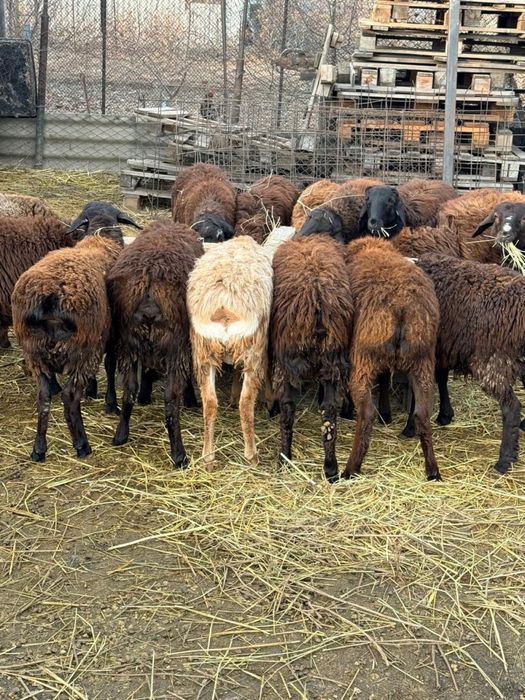 Срочно продается