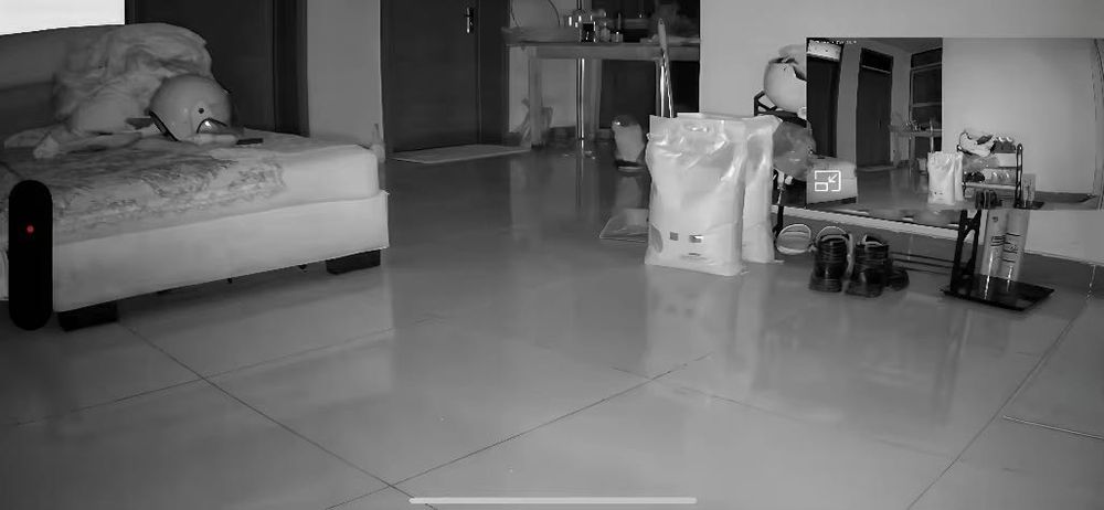 Ceas video spion