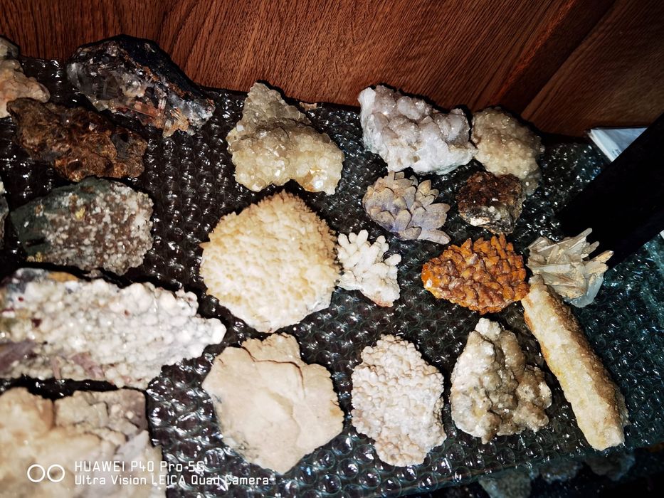 Colectie flori de mina