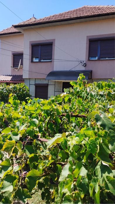 Vand casa plus teren si anexe