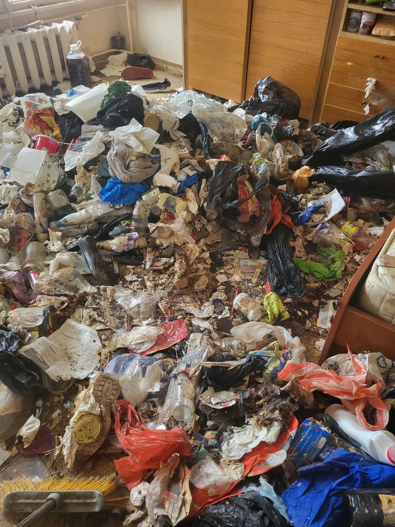 Чисти изволзва почти без пари