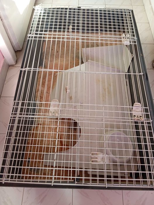 Клетки за гризачи