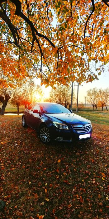 Opel Insignia 2.0 CDTI