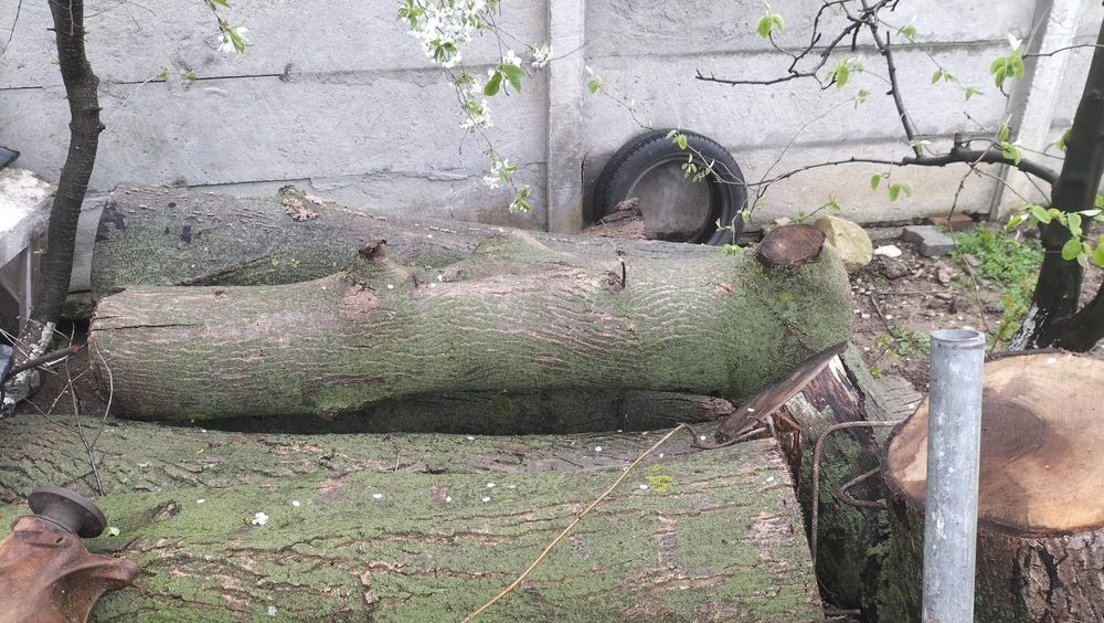 Lemn de nuc de vanzare