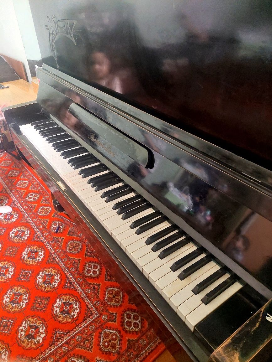 Fortepiano Rostov Don