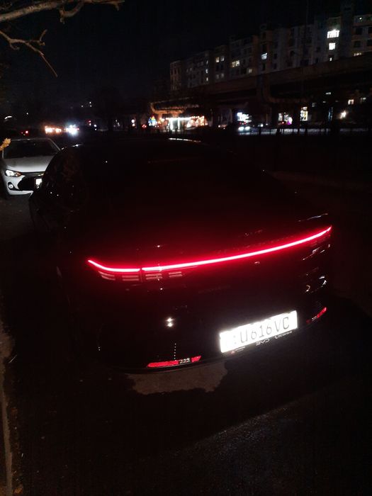 Arenda suxoy BYD Chazor