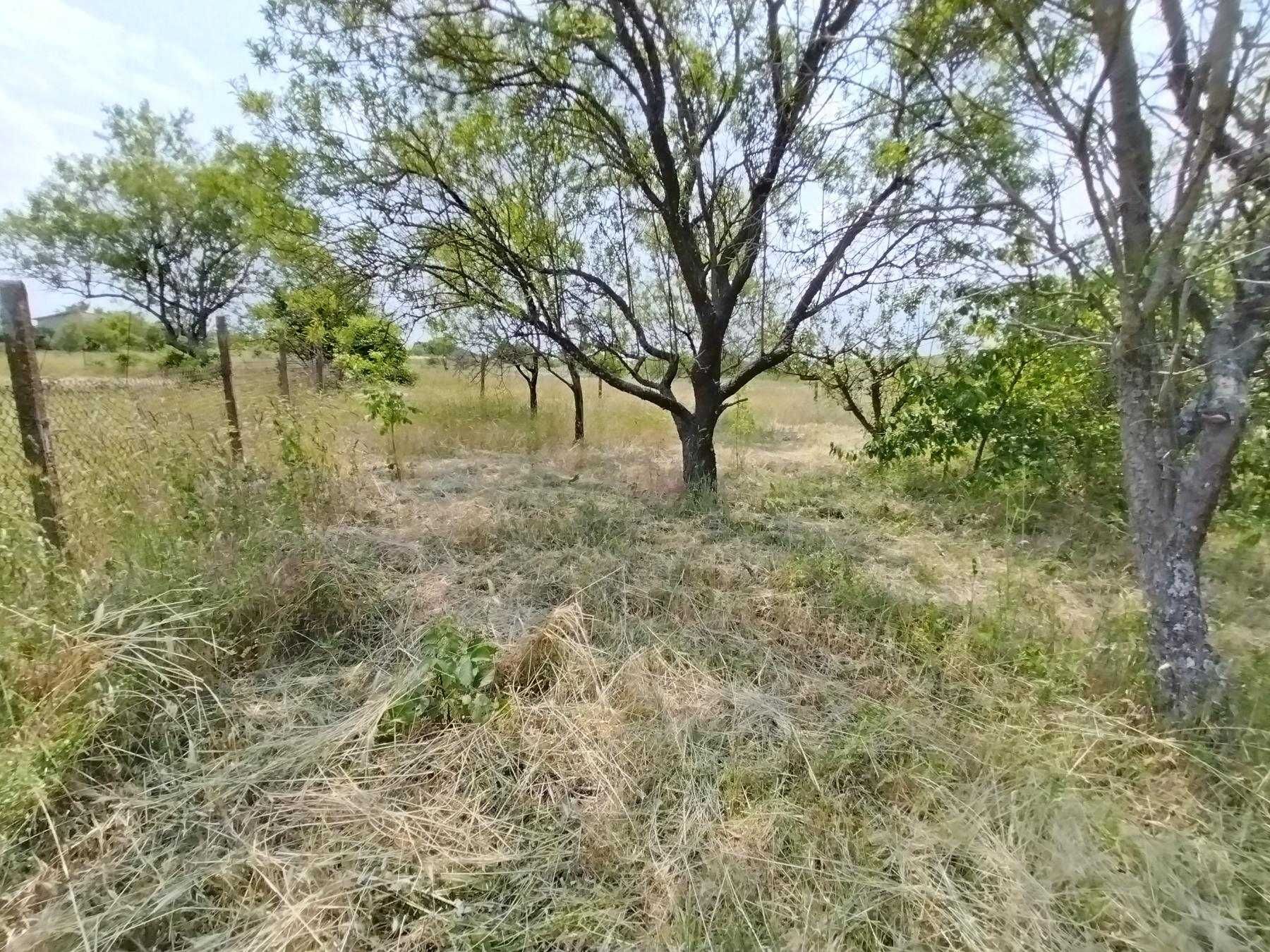 Парцел вилна зона с.Осеново/Аксаковска общ./