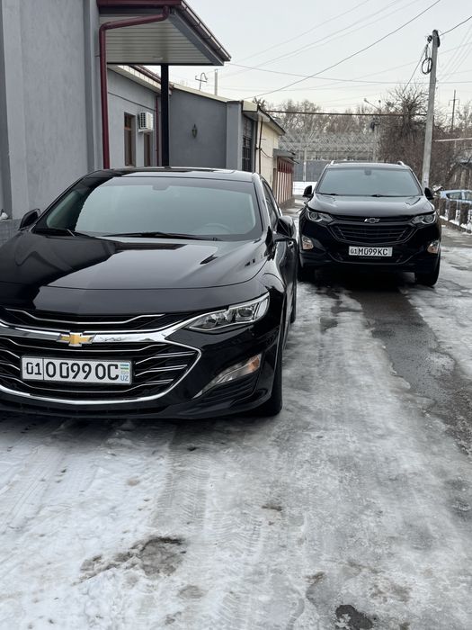 Malibu 2 Primer Arenda Xolati zor